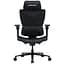 Крісло ігрове Anda Seat X-Air Pro Size L Mesh Black (AD-WY-01-BBB-B01)  - мініатюра 1