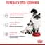 Сухой корм для котят Royal Canin Mother and Babycat мясо птицы и рис 0.4 кг - миниатюра 5