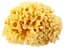 Натуральна губка для ванни OK Baby Silk Fine sea sponge, р.16, жовтий (38481600) - мініатюра 1