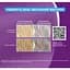 Фарба для волосся Palette ICC 9.5-21 Кришталево Сріблястий блонд 110 мл (2767520) - мініатюра 4
