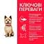 Сухий корм Hill’s SP Adult Healthy Mobility Small&Mini для собак малих і міні порід з куркою 1.5 кг - мініатюра 3