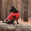 Жилет Pet Fashion E.Vest для собак, розмір L, червоний - мініатюра 5