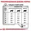 Сухой диетический корм для кошек Royal Canin Hepatic HF26 Feline при заболеваниях печени, 4 кг (4012040) - миниатюра 3