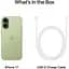 Смартфон Apple iPhone 17 256GB eSim Sage (MG4A4) [148977] - мініатюра 7