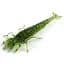Силикон FishUP Diving Bug 2" (8шт) #042 - Watermelon Seed - миниатюра 1