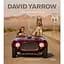David Yarrow: The Collection - мініатюра 1