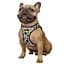 Шлея для собак Bronzedog Sport Vest Геометрія XXS 15х13х3 см - мініатюра 3