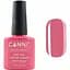 Гель-лак Canni Color Coat Soak-off UV&LED 43 темно-кораловий 7.3 мл - миниатюра 1
