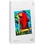 Папір для фотопринтера Xiaomi Instant Photo Paper 6" 40 аркушів [BHR6757GL] [76325] - мініатюра 1