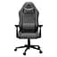 Игровое кресло Cougar EXPLORE F Royal Gray (EXPLORE ROYAL GRAY F) - миниатюра 2