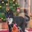 Іграшка для котів Trixie Паличка з різдвяним оленем пластик 45 см (92452_Christmas) - мініатюра 2