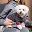 Толстовка Pet Fashion Bim М серая - миниатюра 4