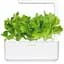 Змінний картридж Click & Grow Smart Garden Зелений салат, 3 капсули (7731) - мініатюра 5