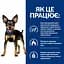 Сухой корм для собак малых пород Hill’s Prescription Diet Metabolic Mini для контроля и снижения веса, с курицей - миниатюра 4