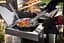 Гриль газовый Weber Spirit SP-335 Premium GBS (46802375) - миниатюра 8