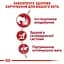 Вологий корм для дорослих кішок Royal Canin Instinctive, шматочки в соусі, 85 г - мініатюра 4