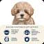 Сухий корм для цуценят дрібних порід Home Food Puppy Mini ягнятина та рис 1.6 кг - мініатюра 5