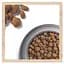 Сухий корм для собак з чутливим травленням Dog Chow Sensitive Adult 1+, з лососем, 2,5 кг - мініатюра 7