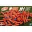 Набор патронов для бластеров Hasbro Nerf N Series N1 Darts 80 шт. (F8638) - миниатюра 10