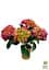 Саженец Agro-Market LMTD Гортензия крупнолистая цветущая 4-летняя Fire Red (40-60см) (152962) - миниатюра 3