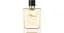 Туалетна вода мужская  Terre D'Hermes, 100 ml - миниатюра 1