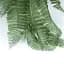 Штучна гілка Engard Persian fern 65 cм (AV-01) - мініатюра 7