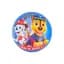 М’яч гумовий Paw Patrol, PB2102, 80 г, 23 см (В асортименті) - мініатюра 1