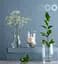 Ваза Trend Glass Emma, стекло, 25 см, прозрачная (35705) - миниатюра 2
