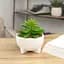 Горщик зі штучною рослиною МВМ My Home, 14 см, білий (DH-FLOWERS-14 M GREEN/WHITE) - мініатюра 4