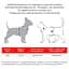 Шлея с поводком для кошек и мелких пород собак Waudog Nylon Гранаты с QR паспортом XS 25-40x20-30x1/122 см - миниатюра 2
