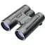 Бінокль Leupold 10x42 BX-2 Acadia Roof Black - мініатюра 1