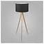 Торшер TK Lighting 5039 Treviso - мініатюра 1