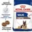Сухой корм для стареющих собак крупных пород Royal Canin Maxi Ageing 8+, 15 кг (2454150) - миниатюра 4