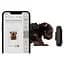 Фотокамера моментального друку Fujifilm Instax Mini LiPlay Deep Bronze (16835184) [118838] - мініатюра 11