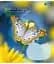 Набір зошитів 1 Вересня Butterfly А5 в клітинку 24 аркуші 20 шт. (67273) - мініатюра 3