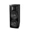 Акустическая система BiG DIGITAL TIREX1000-MP3-BLT-EQ-FM - миниатюра 1