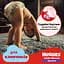 Уценка. Набор подгузники-трусики для мальчиков Huggies Pants Little Movers 6 (15-25 кг) 88 шт. - миниатюра 6