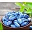 Саженец Agro-Market Жимолость Клубничная сенсация (великоплодный, ранний сорт) 2-летняя С1.5 1 саженец (99108) - миниатюра 1
