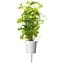Змінний картридж Click & Grow Smart Garden М'ята, 3 капсули (7397) - мініатюра 1