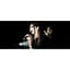 Микрофон Sennheiser E 614 [121005] - миниатюра 4