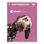 Набор тетрадей для записей А4 Yes Animalbook 48 листов в клетку 3 шт. (682002) - миниатюра 4