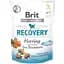 Лакомство для собак Brit Care Functional Snack Recovery с селедкой 150 г - миниатюра 1