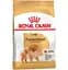 Сухой корм для взрослых собак породы Померанский шпиц Royal Canin Pomeranian Adult, с птицей, 500 г (1255005) - миниатюра 1