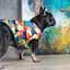 Жилет Pet Fashion Spring XS2 принт - мініатюра 6