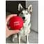 Игрушка для собак Waudog Red Ball 70 мм - миниатюра 6