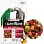 Versele-Laga NutriBird p15 Tropical верселе-лага нутриберд p15 тропикал корм для великих папуг 1кг - мініатюра 1