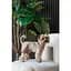 Шорты Pet Fashion Leo для собак М - миниатюра 3