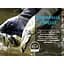 Водонепроникні рукавички DexShell Drylite 2.0 Gloves XL темний камуфляж - мініатюра 4