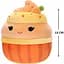 М'яка іграшка Squishmallows Капкейк Кейша 13 см (SQER00813) - мініатюра 7