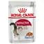 Вологий корм для дорослих кішок Royal Canin Instinctive шматочки в желе 85 г - мініатюра 1